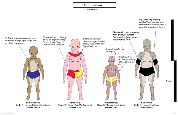Orion's Arm - Encyclopedia Galactica - Pet Humans