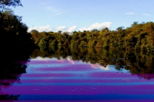 Algaehol bllom