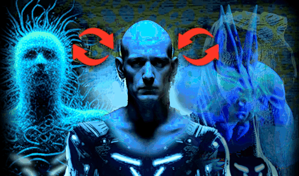 Body Transformation Protocols