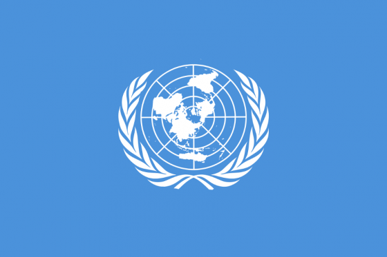 UN Flag (final)