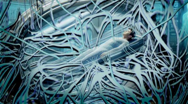 Biostasis