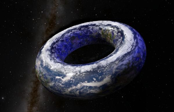 The Torus World