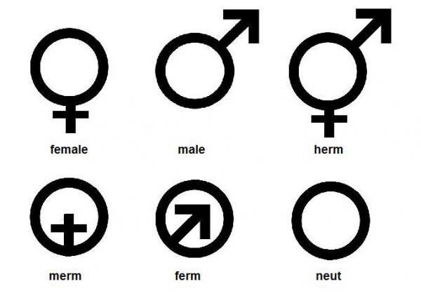 Gender