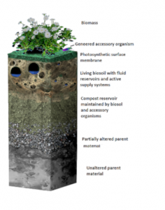 Artificial Soil - biotech