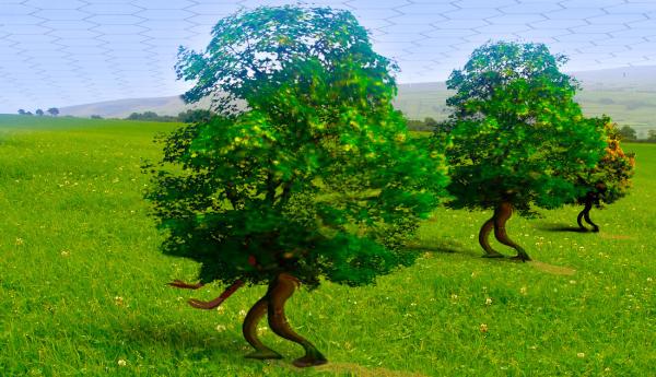 Walking trees in Phytotopia
